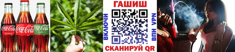 Купить  Кола  Canna-Cookies марихуана 
