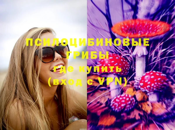 спайс Вяземский
