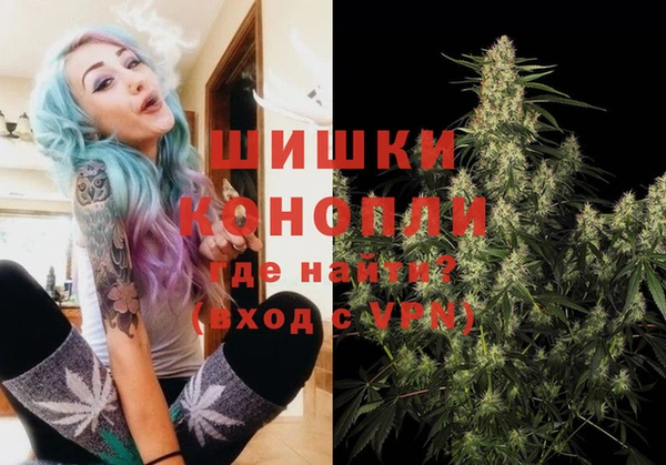 спайс Вяземский