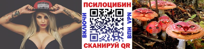 Псилоцибиновые грибы MAGIC MUSHROOMS  Купить  Кола 